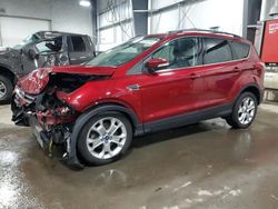 Salvage cars for sale from Copart Ham Lake, MN: 2013 Ford Escape SEL