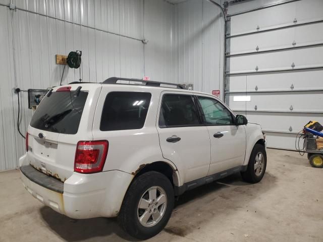 2011 Ford Escape XLT