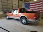 2000 Dodge Dakota Quattro