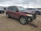 2007 Hyundai Santa FE SE