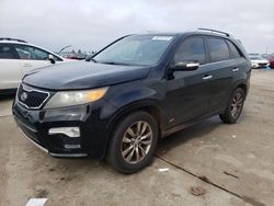 Vehiculos salvage en venta de Copart Sacramento, CA: 2011 KIA Sorento SX