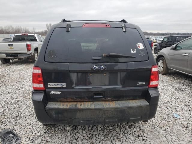 2011 Ford Escape XLT