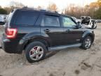 2008 Ford Escape Limited