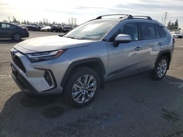 2024 Toyota Rav4 XLE Premium