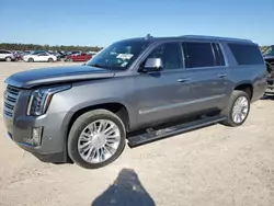 Cadillac Vehiculos salvage en venta: 2019 Cadillac Escalade ESV Platinum