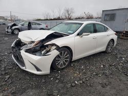 2020 Lexus ES 350 en venta en Marlboro, NY