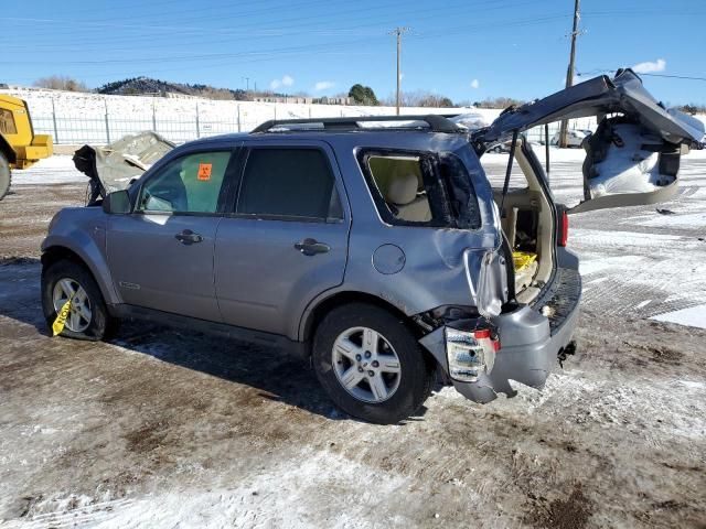 2008 Ford Escape HEV