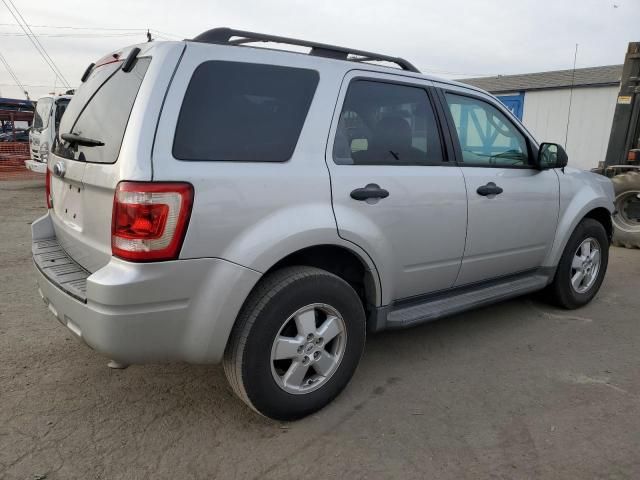 2009 Ford Escape XLT