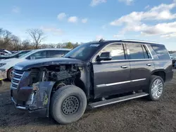 Cadillac Vehiculos salvage en venta: 2015 Cadillac Escalade Platinum