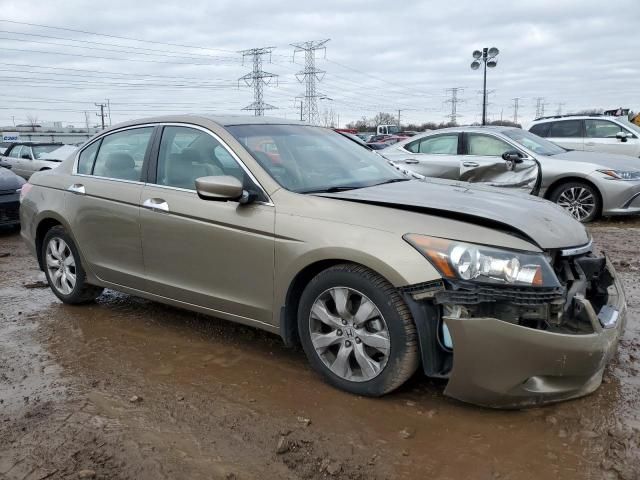 2010 Honda Accord EXL