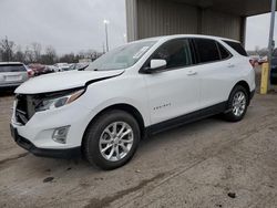 Salvage cars for sale at Fort Wayne, IN auction: 2019 Chevrolet Equinox LT