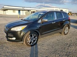 Salvage Cars with No Bids Yet For Sale at auction: 2015 Ford Escape Titanium