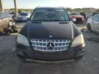 2010 Mercedes-Benz ML 350