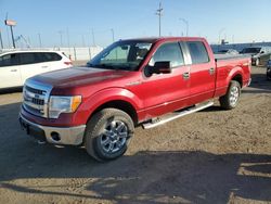 Salvage trucks for sale at Greenwood, NE auction: 2013 Ford F150 Supercrew