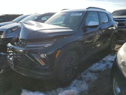 Salvage cars for sale at Brighton, CO auction: 2024 Chevrolet Trailblazer Active