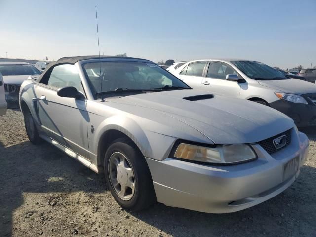 2000 Ford Mustang