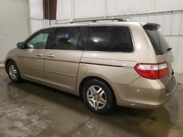 2005 Honda Odyssey EXL