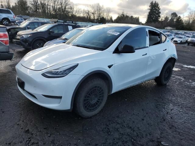 2020 Tesla Model Y