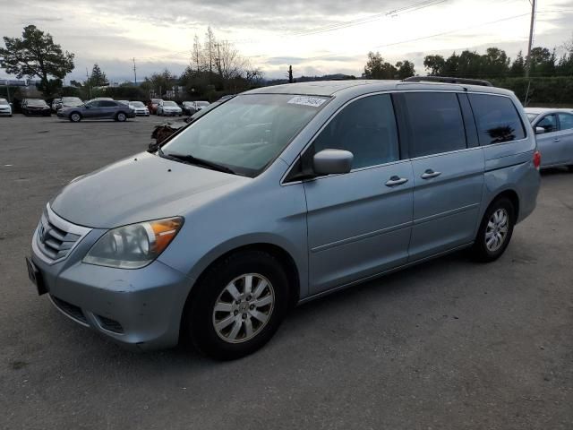 2008 Honda Odyssey EXL