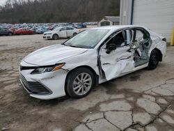 Toyota Camry le Vehiculos salvage en venta: 2023 Toyota Camry LE