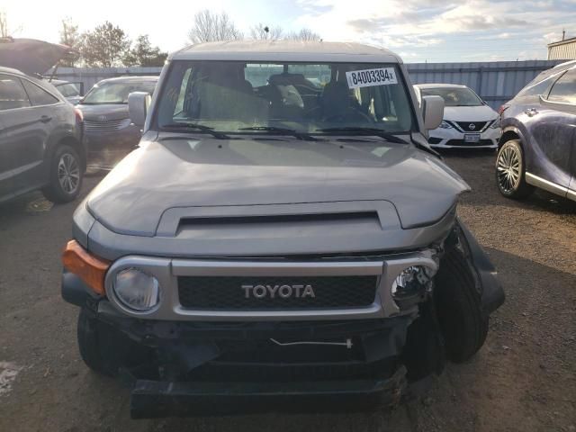 2009 Toyota FJ Cruiser