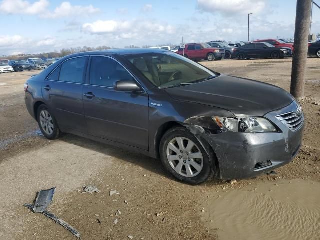 2008 Toyota Camry Hybrid