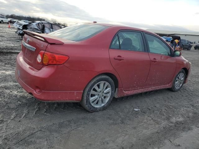 2010 Toyota Corolla Base