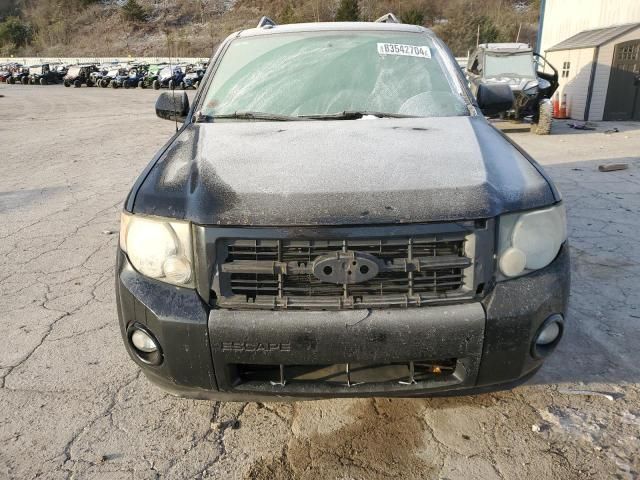 2009 Ford Escape XLT