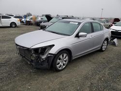 Salvage cars for sale at Antelope, CA auction: 2010 Honda Accord EXL