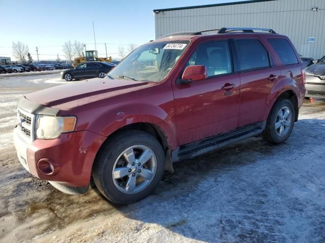 2009 Ford Escape Limited