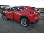 2024 Lexus NX 350 Luxury