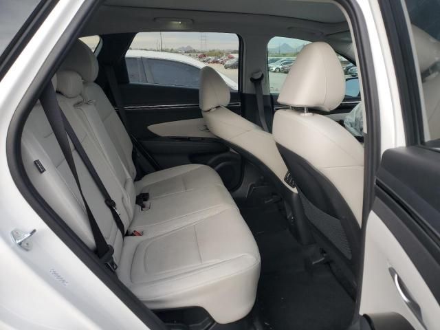 2024 Hyundai Tucson SEL Convenience