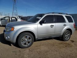 Vehiculos salvage en venta de Copart Adelanto, CA: 2010 Ford Escape XLT