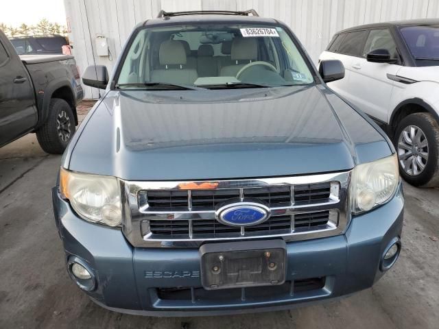 2011 Ford Escape XLT