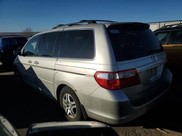 2005 Honda Odyssey EXL