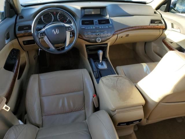 2010 Honda Accord EXL