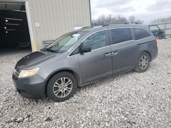 Salvage cars for sale at Lawrenceburg, KY auction: 2013 Honda Odyssey EXL