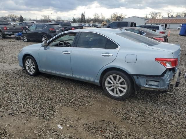 2010 Lexus ES 350