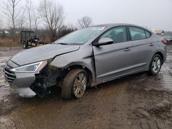 Hyundai Elantra salvage cars for sale: 2020 Hyundai Elantra SEL