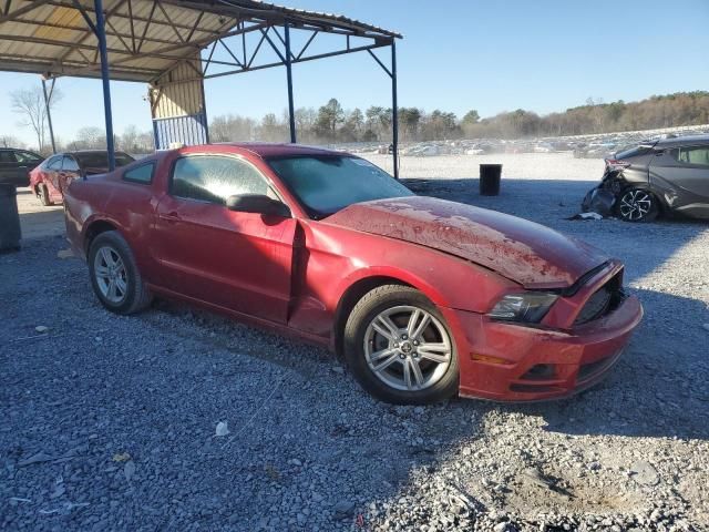 2013 Ford Mustang