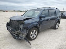 Salvage cars for sale at New Braunfels, TX auction: 2012 Honda Pilot EXL