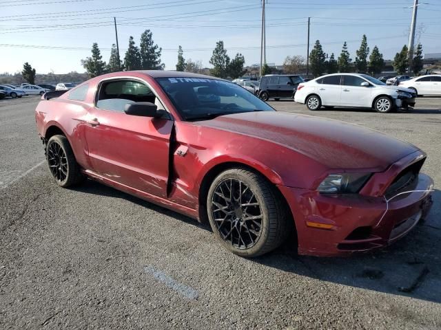 2014 Ford Mustang