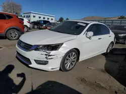 Salvage cars for sale at Albuquerque, NM auction: 2013 Honda Accord EX