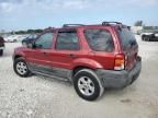 2005 Ford Escape XLT