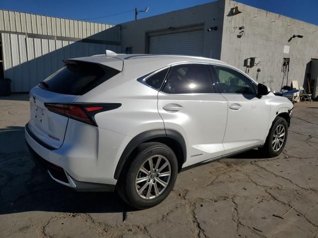 2019 Lexus NX 300H