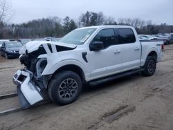 Ford f150 Supercrew salvage cars for sale: 2023 Ford F150 Supercrew