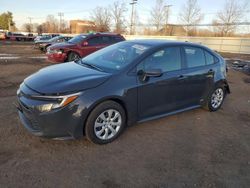 Toyota Corolla salvage cars for sale: 2024 Toyota Corolla LE