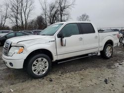 Salvage cars for sale from Copart Cicero, IN: 2010 Ford F150 Supercrew