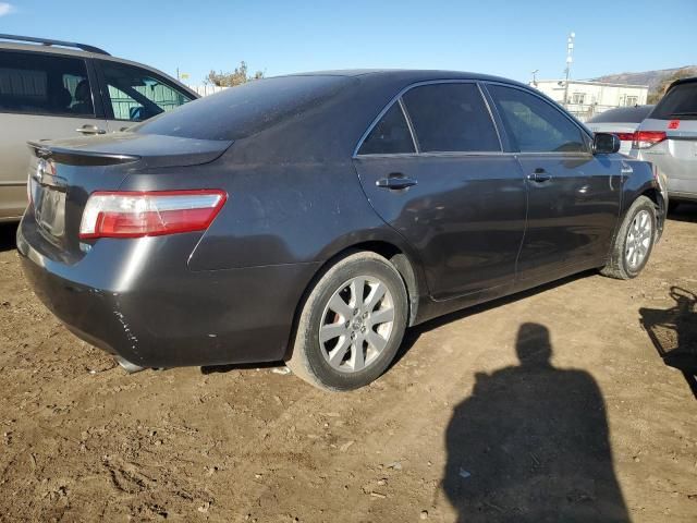 2007 Toyota Camry Hybrid