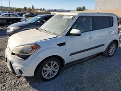 Salvage cars for sale at Mentone, CA auction: 2013 KIA Soul +